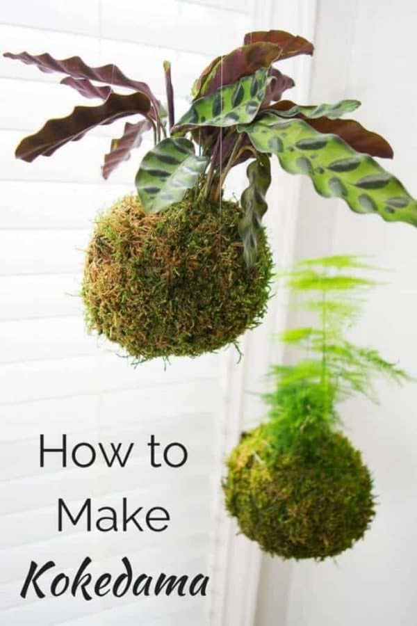 How to Make Kokedama (Japanese Moss Ball) The Handyman's Daughter