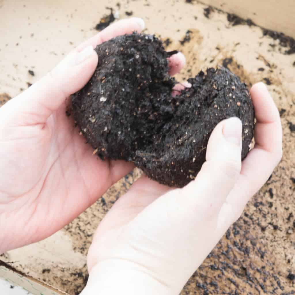 Break kokedama soil ball in half before applying to root ball.