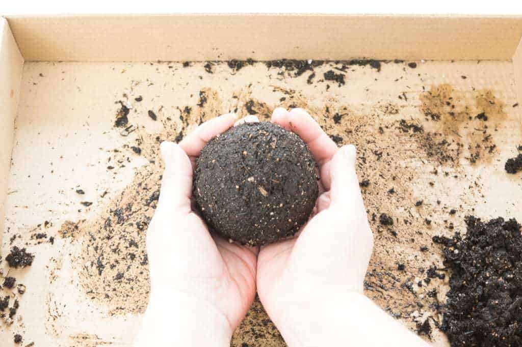 ball of potting soil formed by hand for kokedama