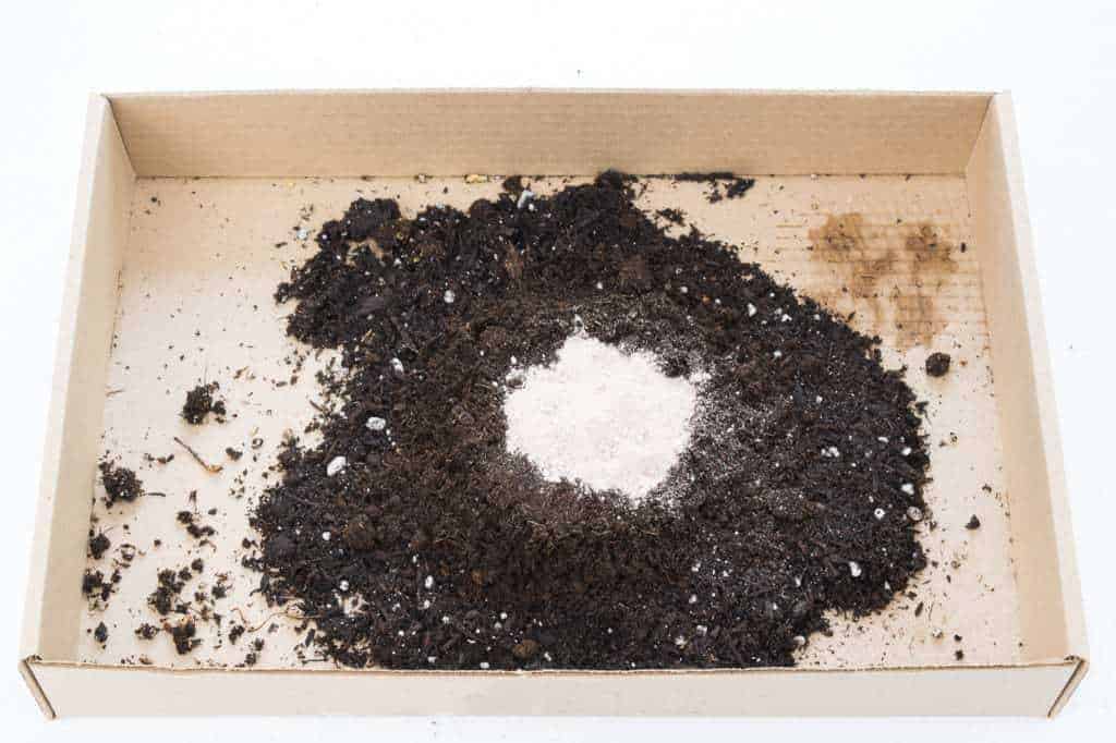 Potting soil, peat moss and azomite in a pile on a cardboard tray