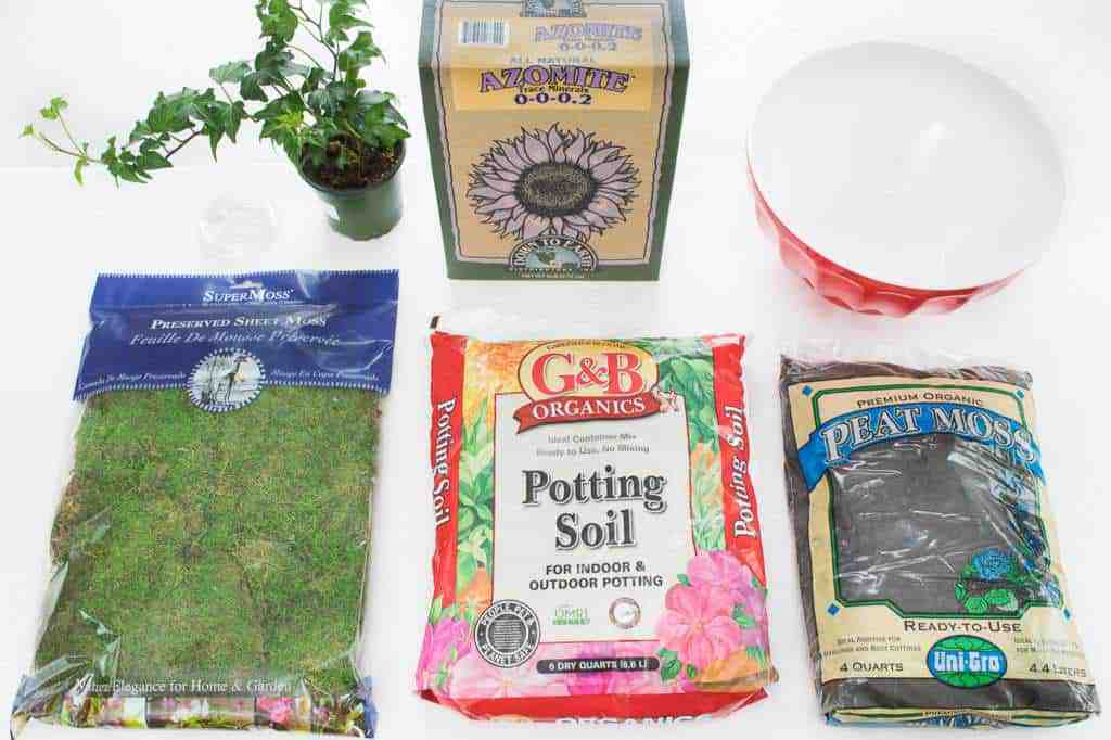 supplies needed to make kokedama