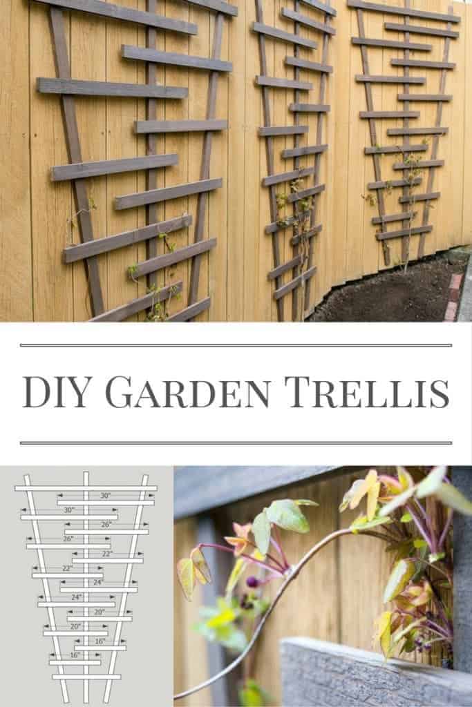 DIY Garden Trellis with Free Plans The Handyman's Daughter