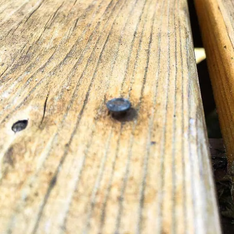 popped nail in cedar deck board