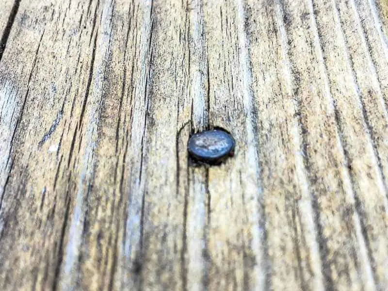 nail head in cedar deck board before deck repair