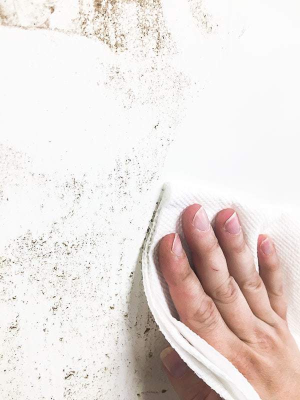 wiping down dust from whiteboard paneling