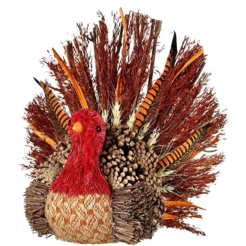 turkey decoration with feathers and twigs from Wayfair