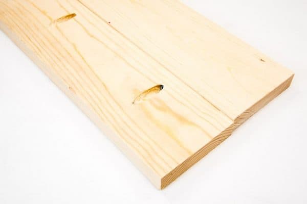 Two boards joined together with pocket holes out of alignment