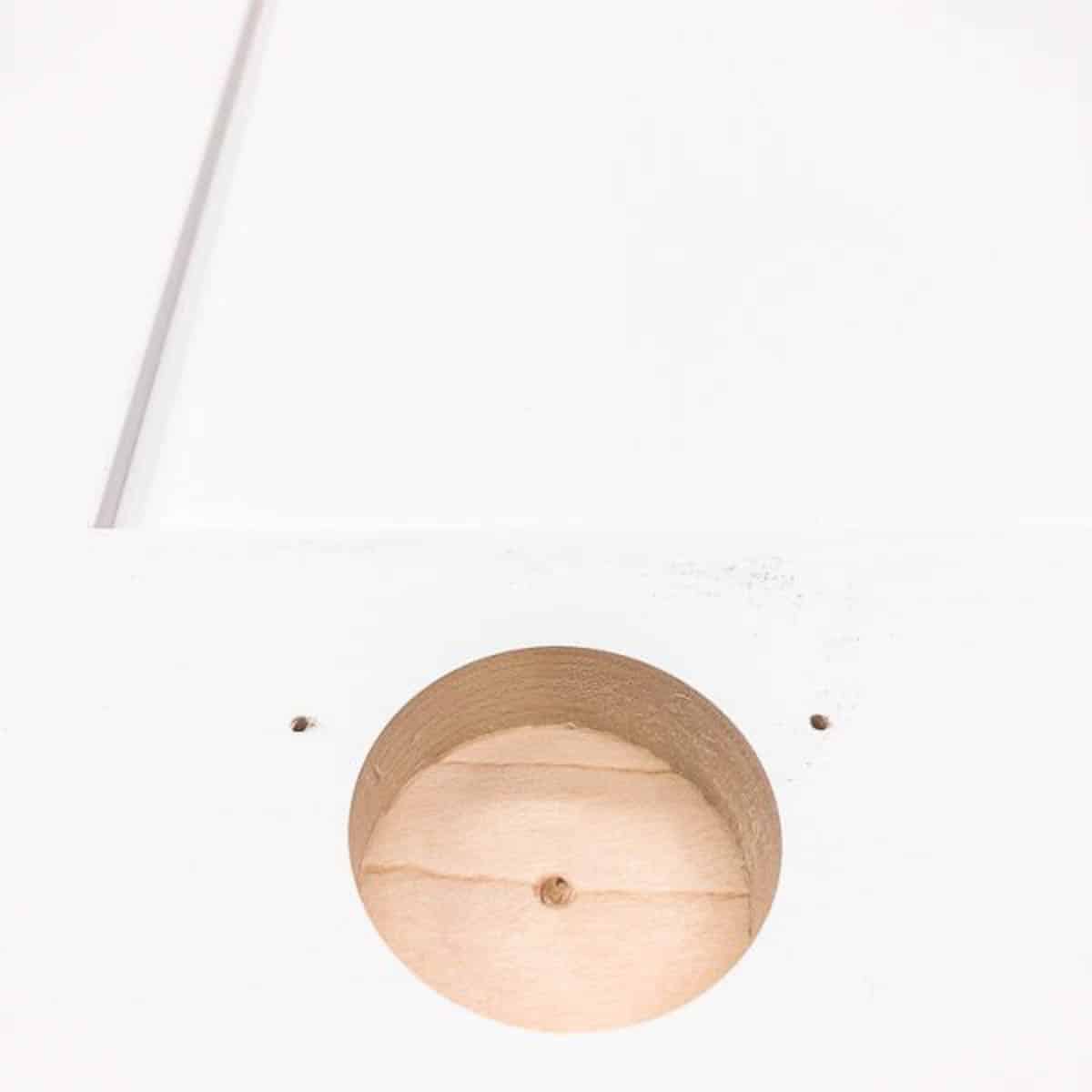 hinge hole created by the concealed hinge jig