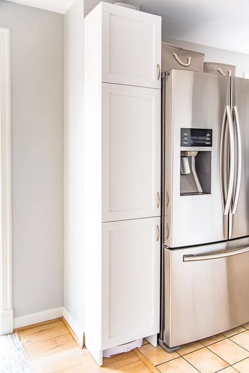 pantry cabinet and chase next to fridge