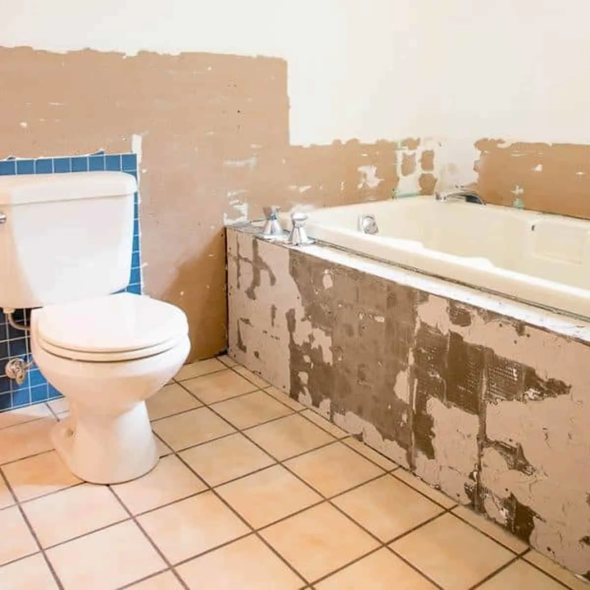 bathroom with tile removed from tub and walls