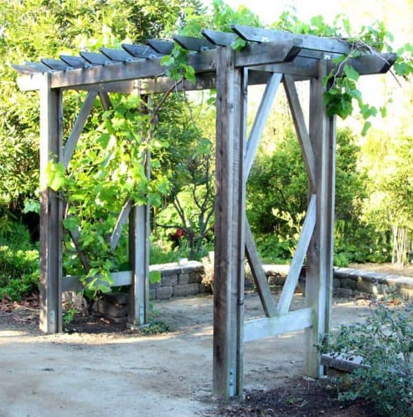 20 DIY Arbor and Trellis Ideas for your Garden - The ...