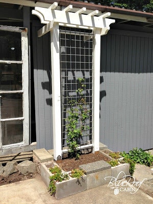white DIY garden trellis