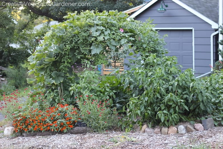 curved trellis covered with plants