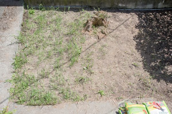 overgrown garden weeding completed