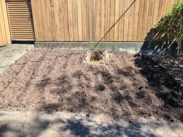 overgrown garden plot now cleared and tilled