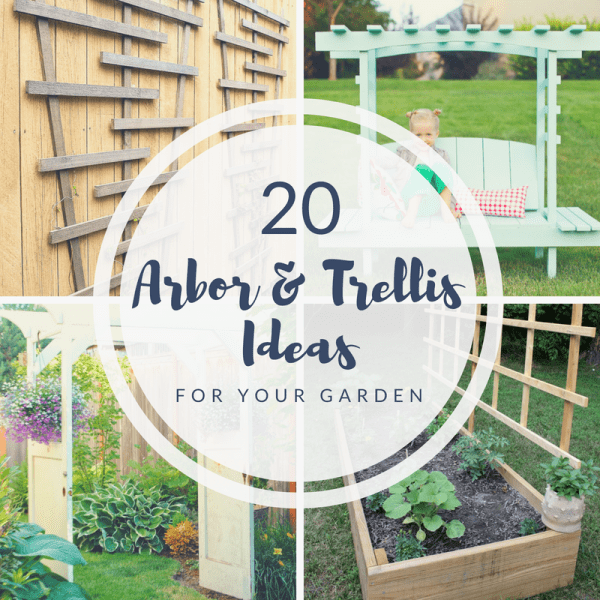20 Arbor & Trellis Ideas for your Garden