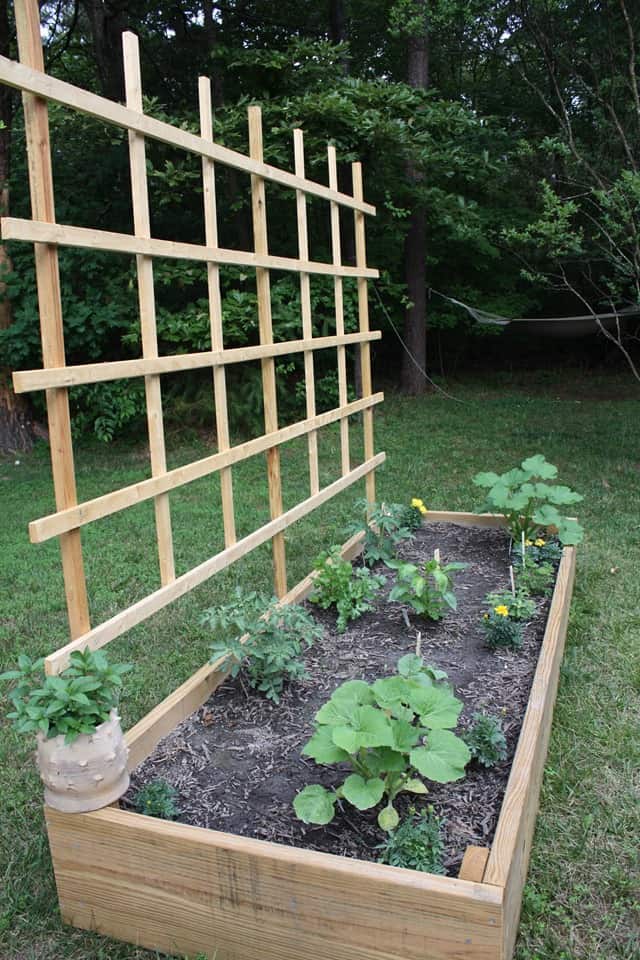 DIY trellis with planter box