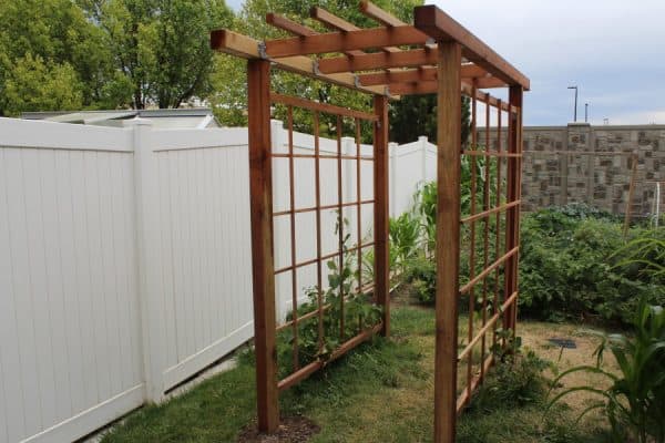 20 DIY Arbor and Trellis Ideas for your Garden - The ...