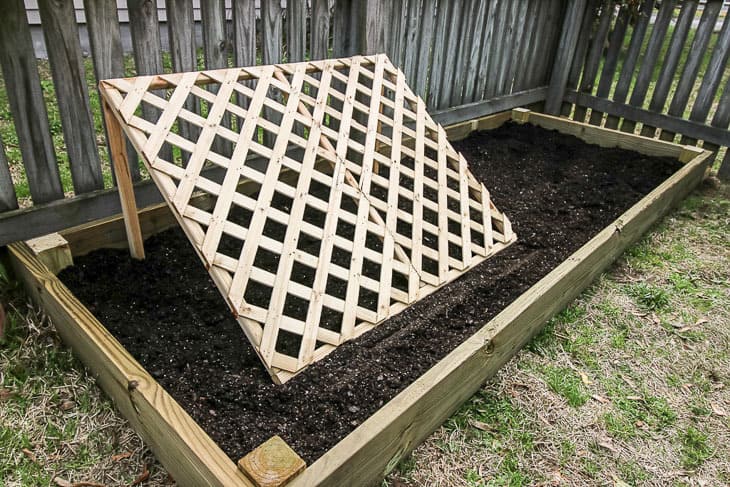 cucumber trellis in raised garden bed