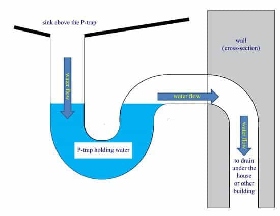 diagram of P trap