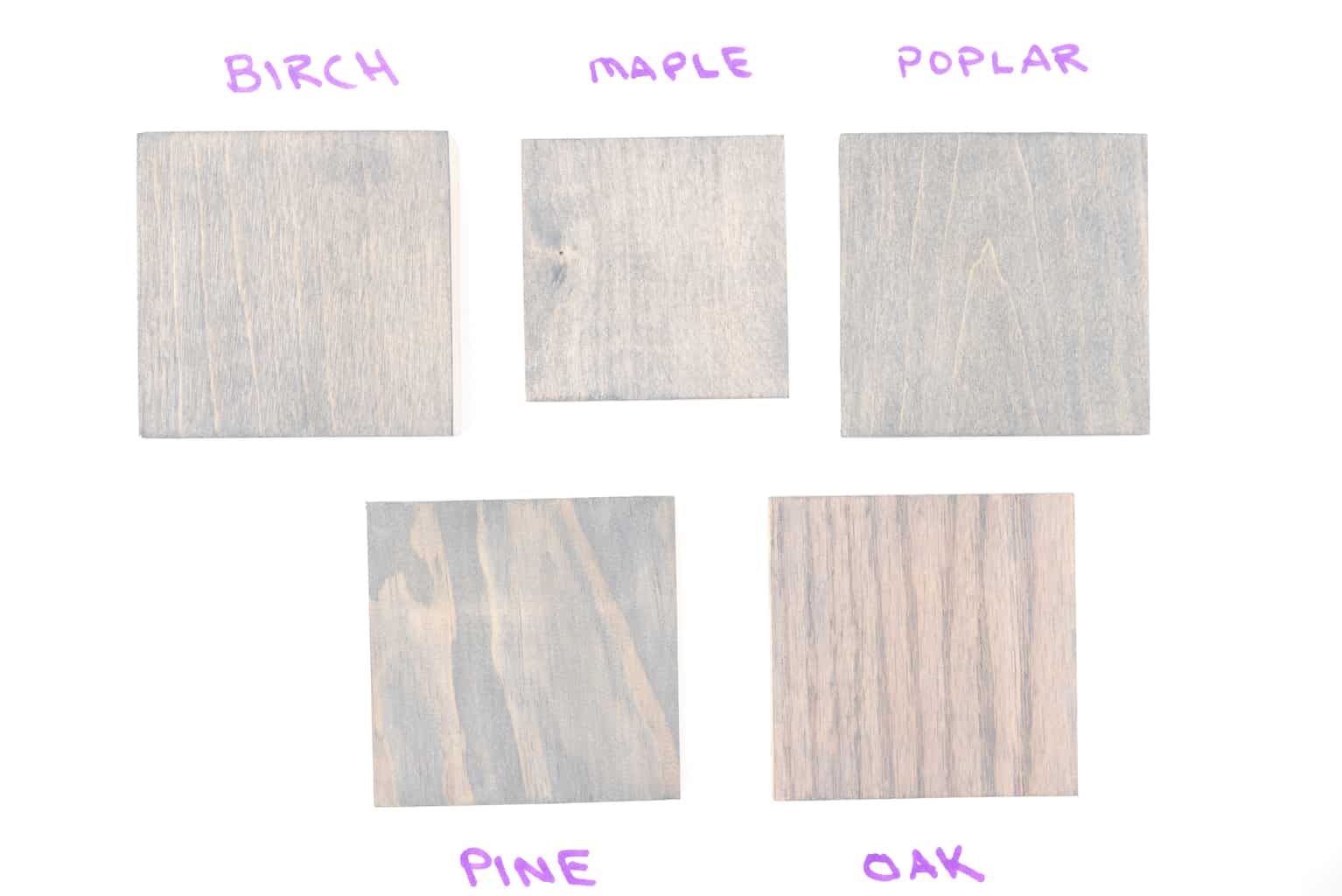Minwax Classic Gray wood stain color samples on five wood species
