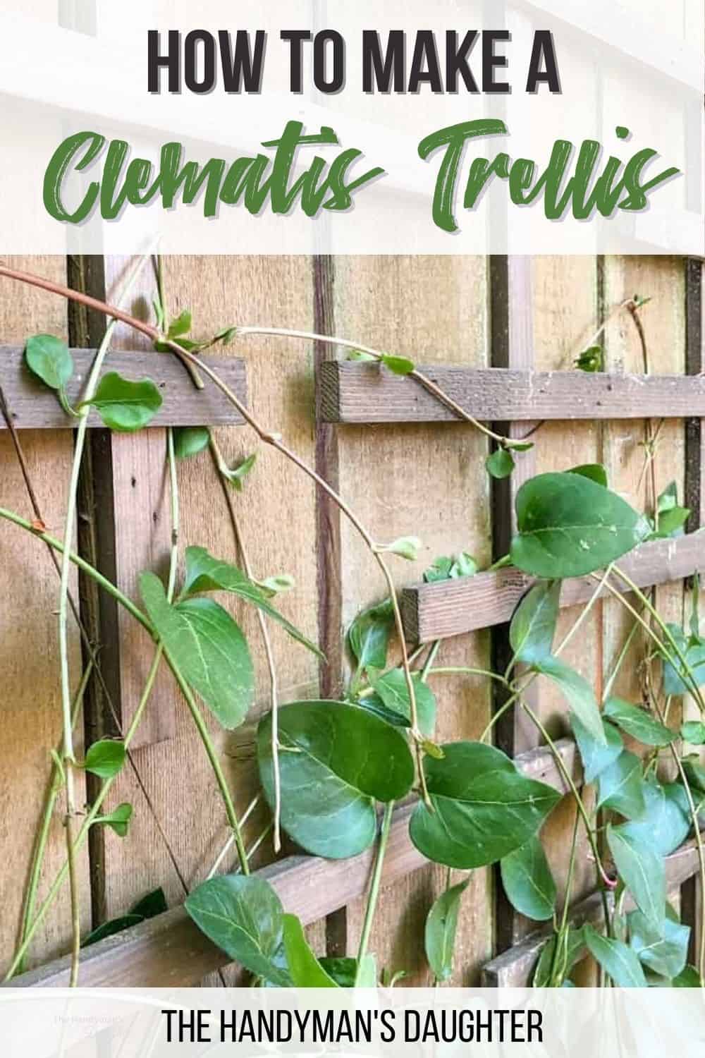 DIY clematis trellis