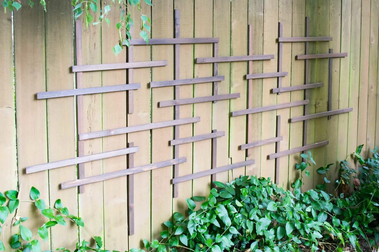 clematis trellis on fence before adding vines