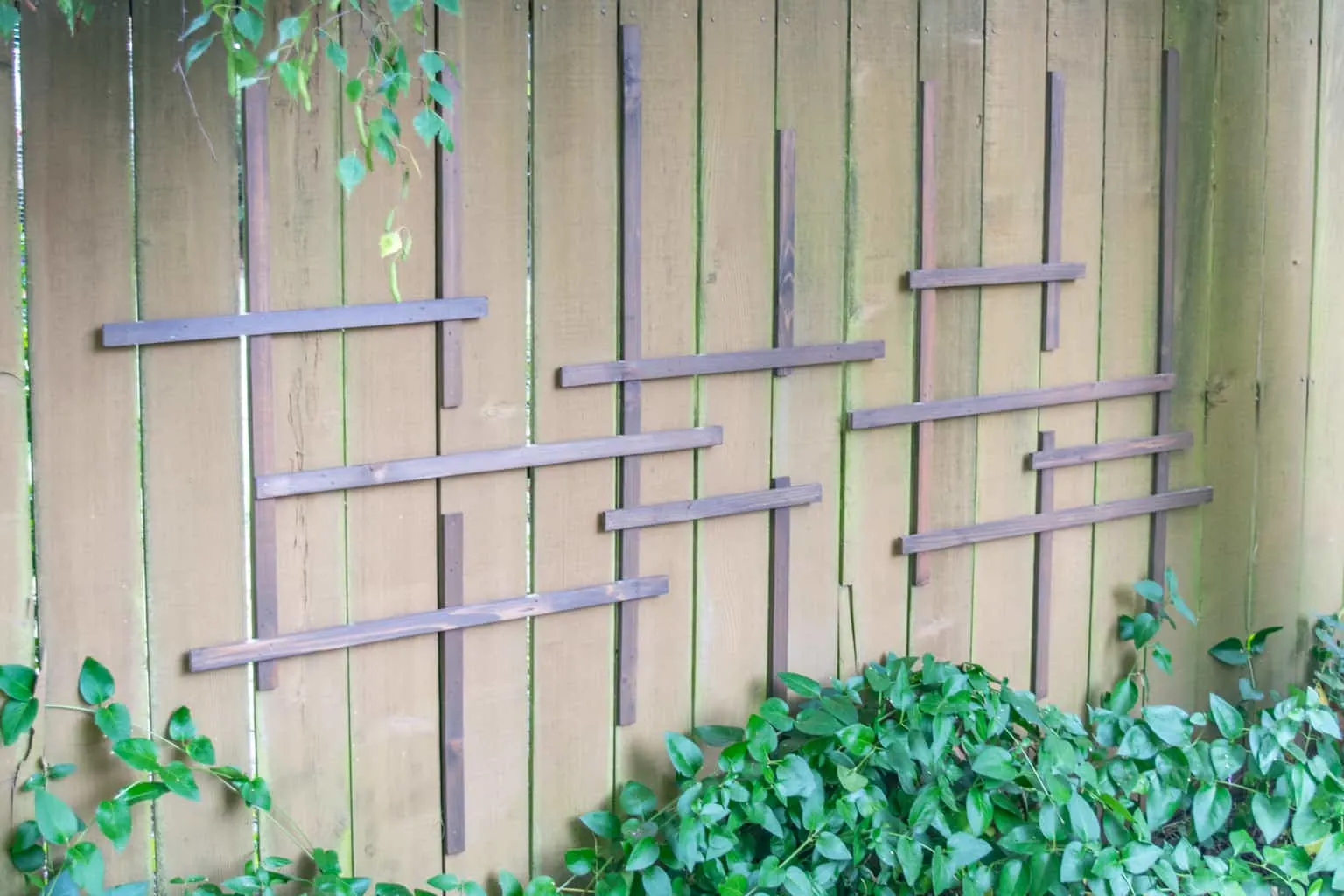 Clematis trellis being installed on a fence