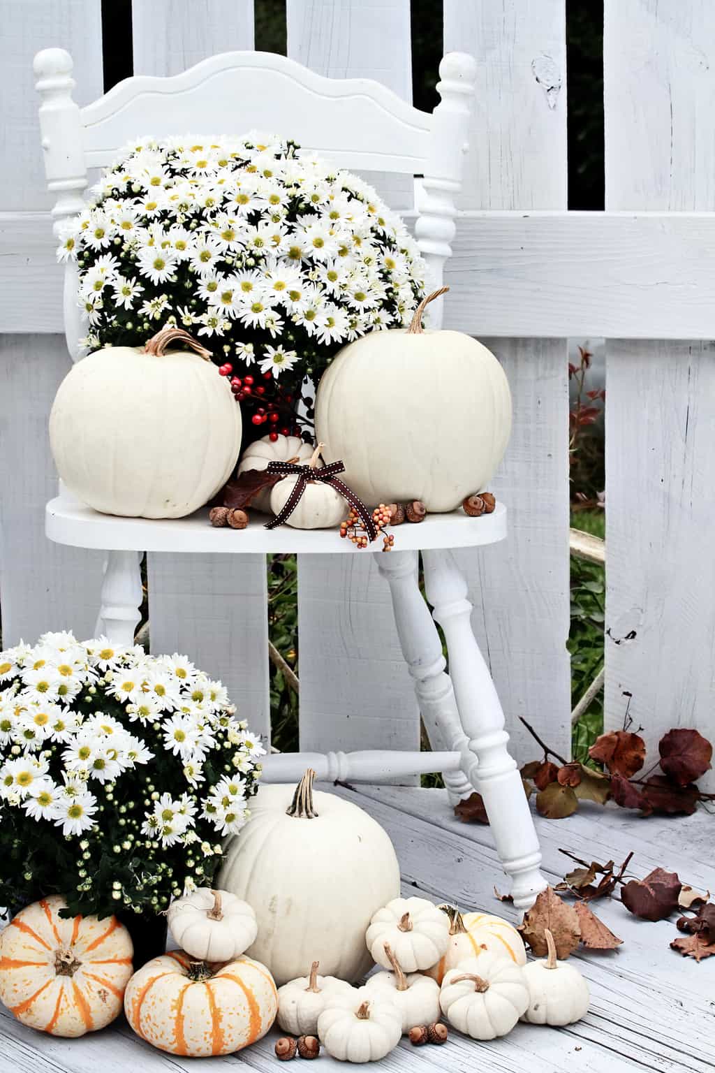 white pumpkins and white fall mums on white chair