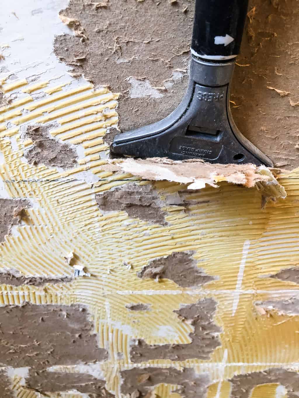 scraper removing tile adhesive from walls