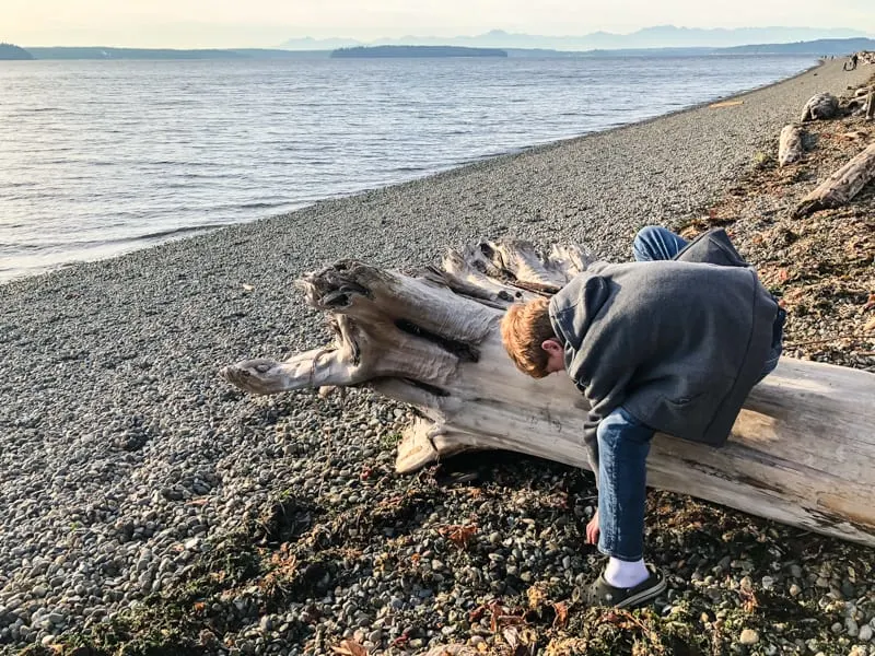 rocky beach with boy collecting driftwood