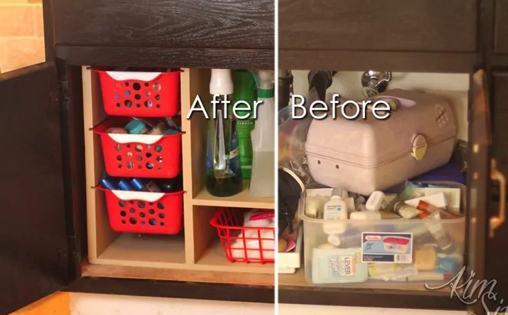 Under the Kitchen Sink Organization with Dollar Store Bins