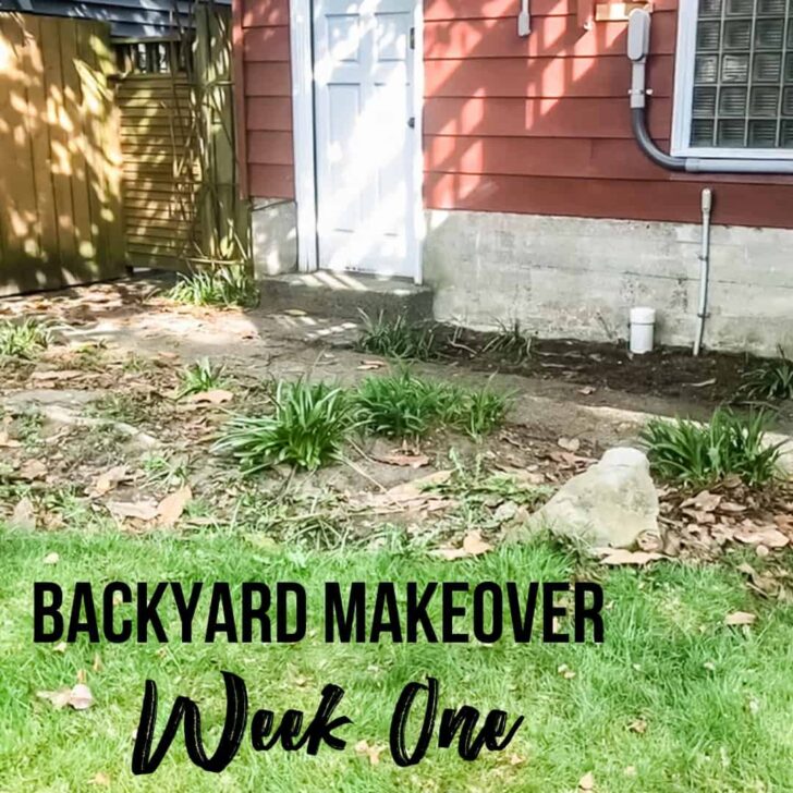 Backyard Makeover - Week One