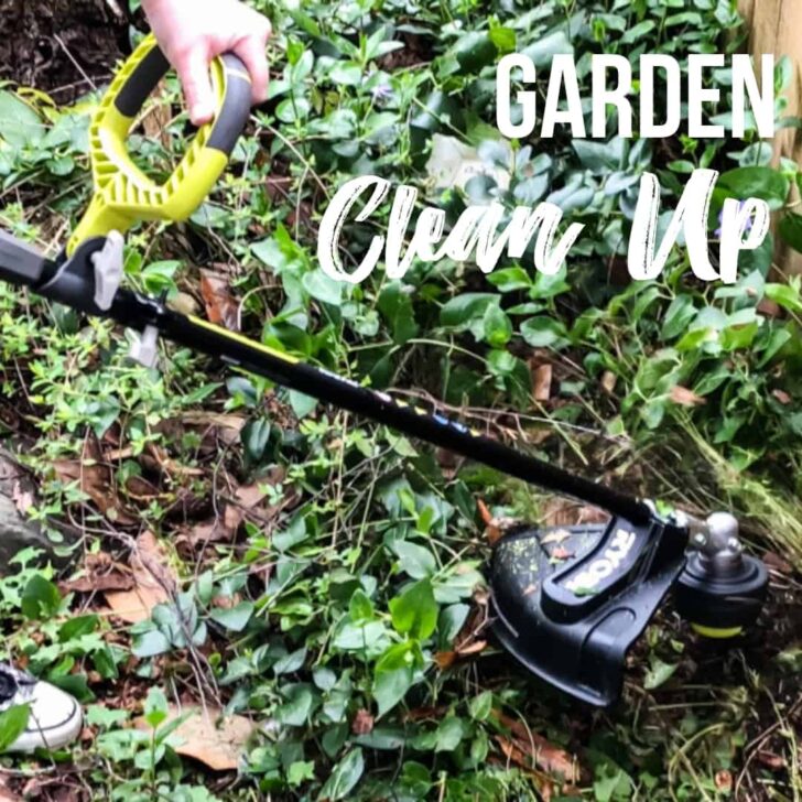garden clean up with Ryobi string trimmer
