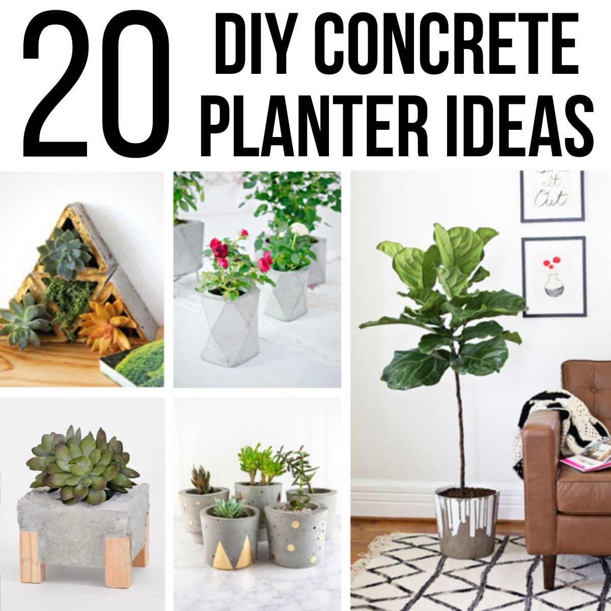 20 Easy DIY Concrete Planter Ideas - The Handyman's Daughter
