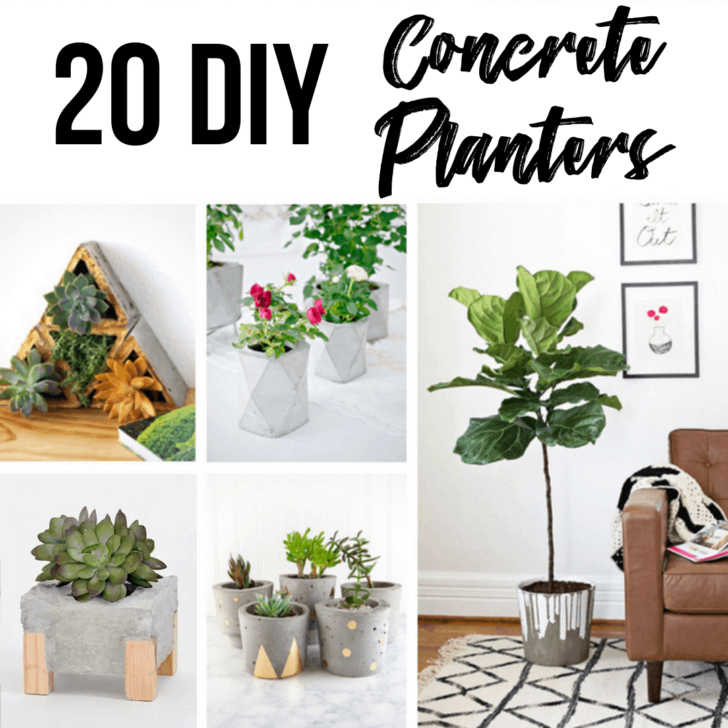 20 DIY Concrete Planters collage
