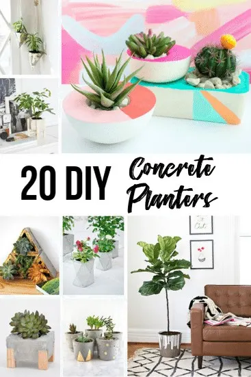20 Clever Diy Concrete Planters The