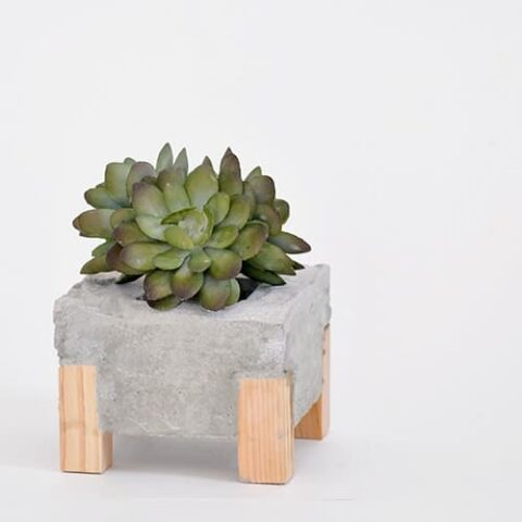 20 Easy DIY Concrete Planter Ideas - The Handyman's Daughter