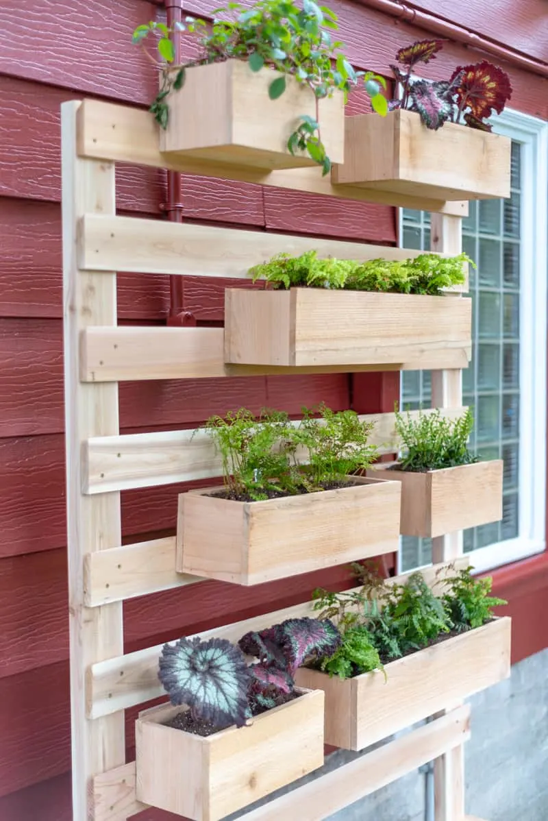 vertical planter wall