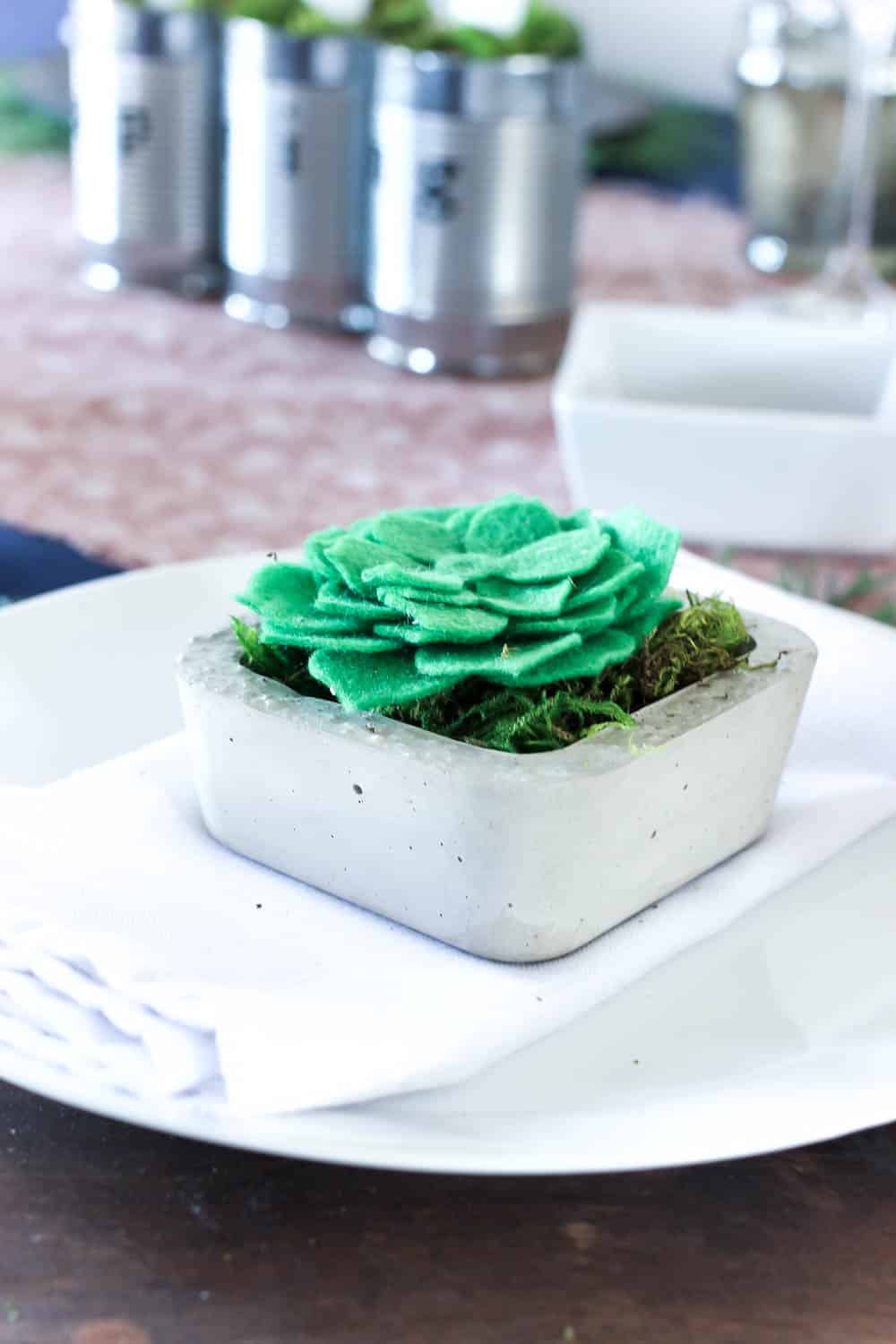 20 Easy DIY Concrete Planter Ideas - The Handyman's Daughter