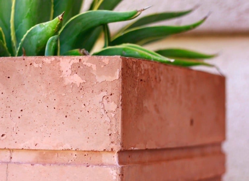 20 Easy DIY Concrete Planter Ideas - The Handyman's Daughter