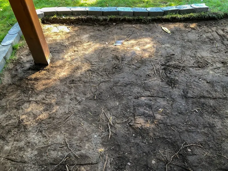roots scattered throughout pea gravel patio area