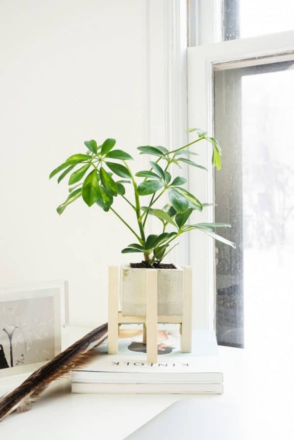 20 Easy DIY Concrete Planter Ideas - The Handyman's Daughter