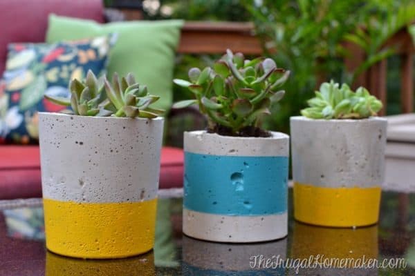 20 Easy DIY Concrete Planter Ideas - The Handyman's Daughter