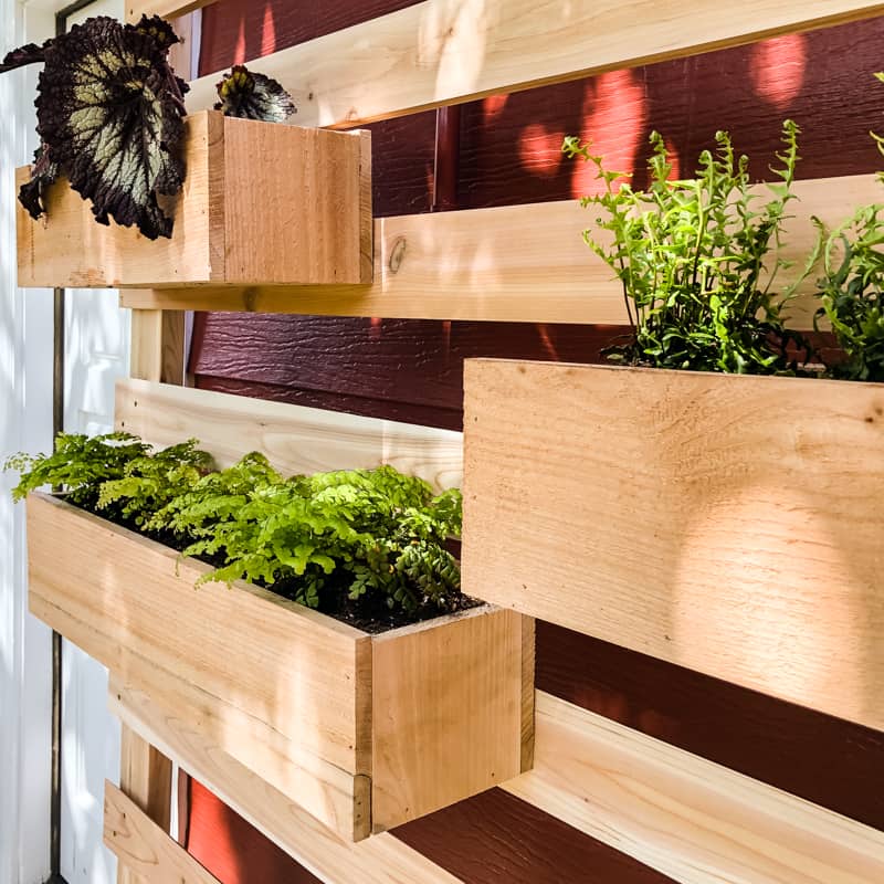 planter boxes on vertical garden wall