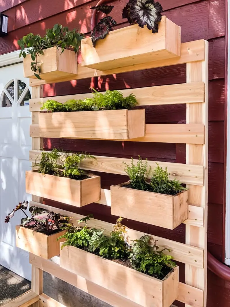 vertical garden wall planter with ferns in planter boxes
