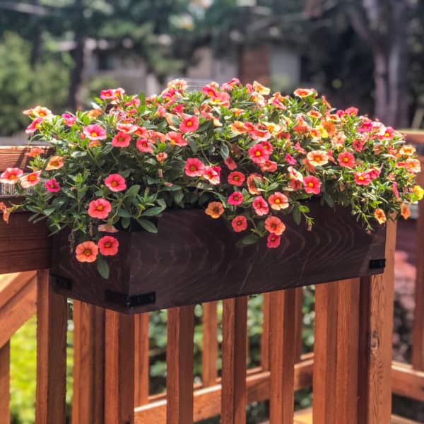 DIY deck railing planter box with pink flowers