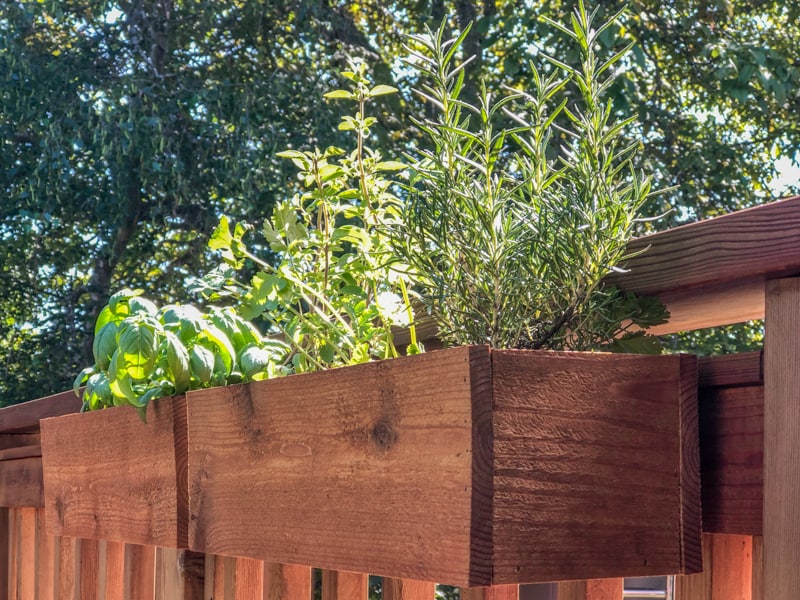 deck rail planters filled with herbs