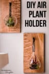DIY air plant holder