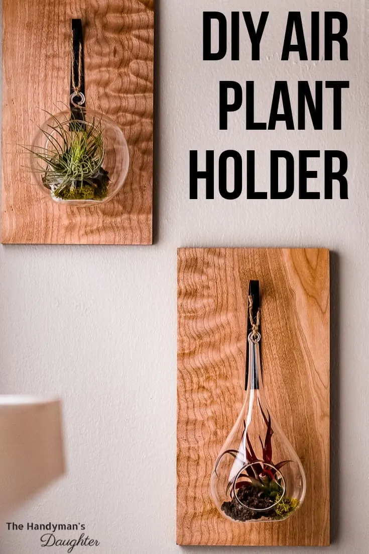 Diy Air Plant Holder For Your Wall